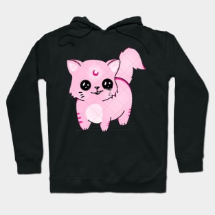 Cute Fluffy cat Hoodie